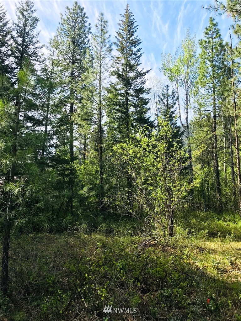 19 Deer Run Road Winthrop, WA 98862 - Photo 17 of 20 Gallery Image 17
