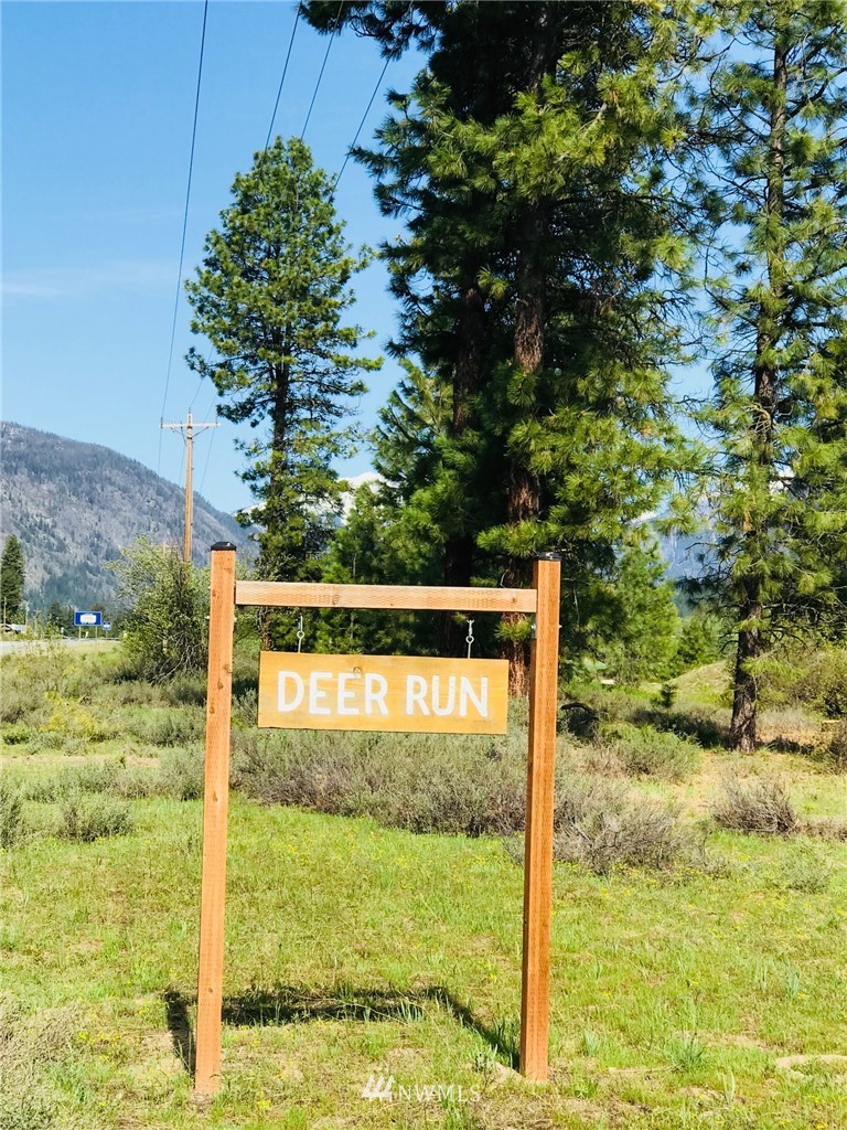 19 Deer Run Road Winthrop, WA 98862 - Photo 19 of 20 Gallery Image 19