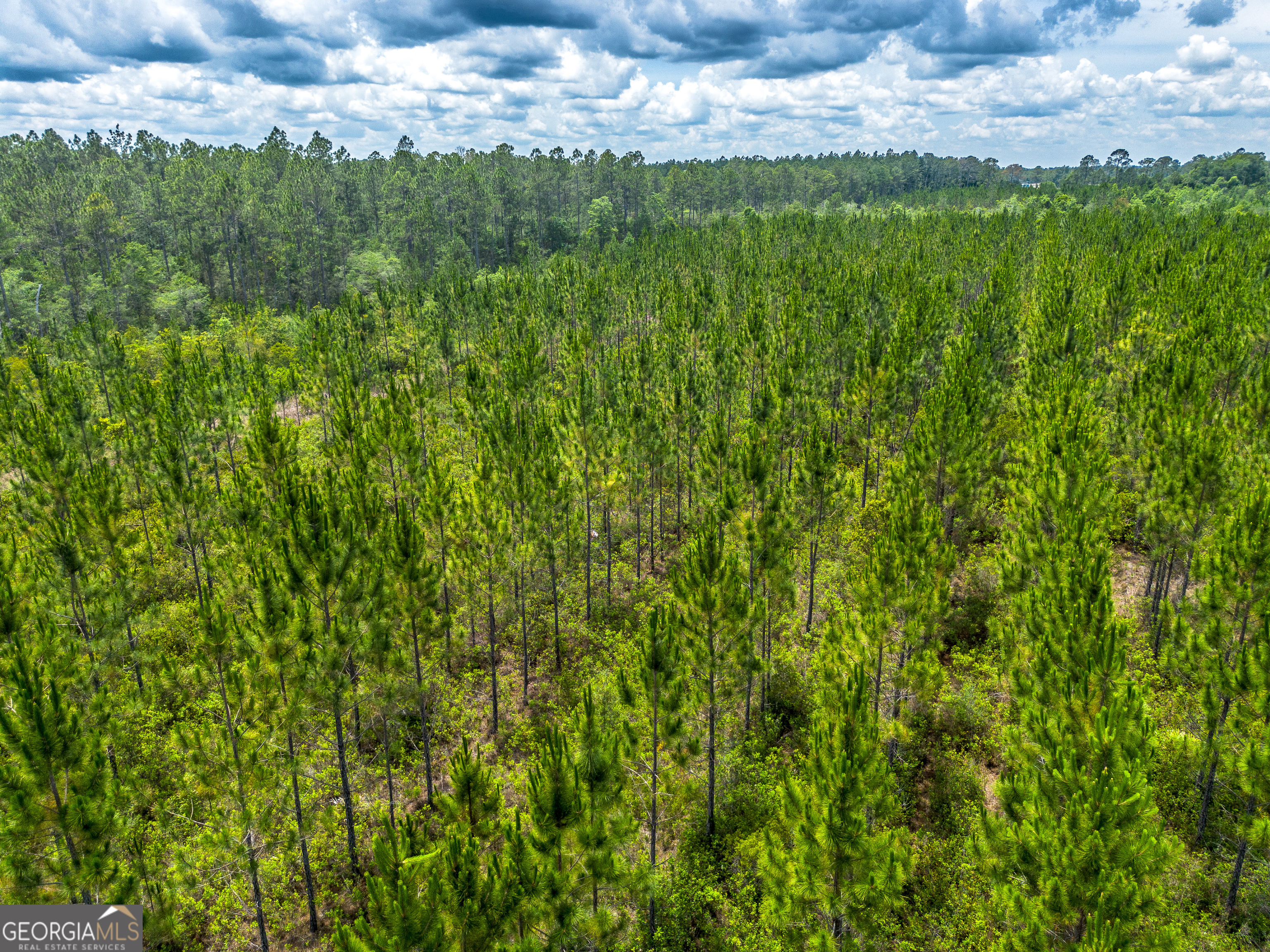 Lot 120 South Farms Edge Road Manor, GA 31550 - Photo 8 of 12