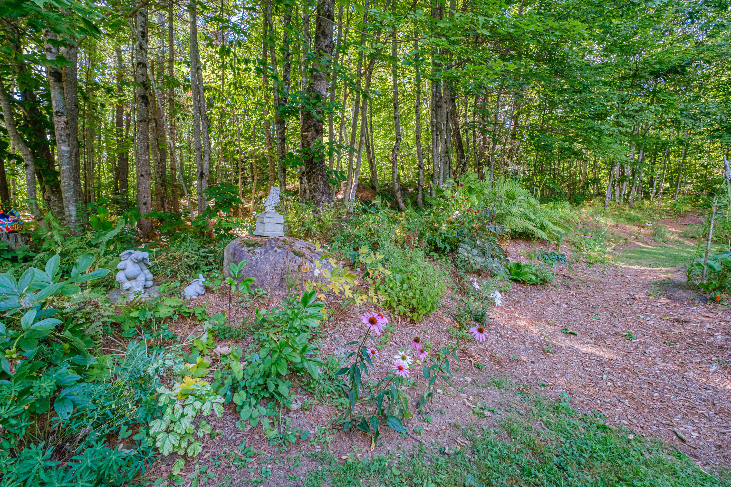 334 Chadbourne Road Waterford, ME 04088 - Photo 10 of 66 20250818gp-66011