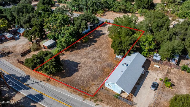 a view of a lobby with a tree