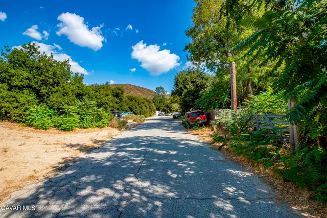 a view of large trees with a big yard