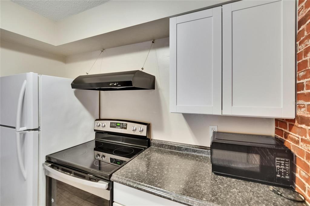 125 Picardy Villa Circle, Unit 100 Brandon, FL 33510 - Photo 14 of 52 a kitchen with a stove and a microwave