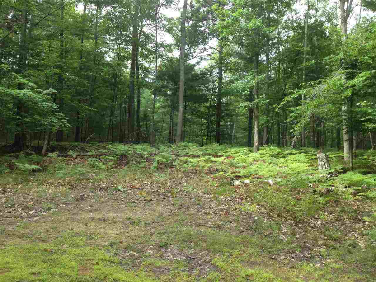 217 Bass Lake Road Traverse City, MI 49685 - Photo 11 of 38 1789353-10.JPG