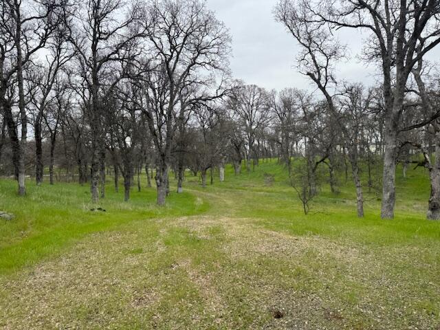 16800 Matlock Loop Road Cottonwood, CA 96022 - Photo 13 of 15 IMG_3279