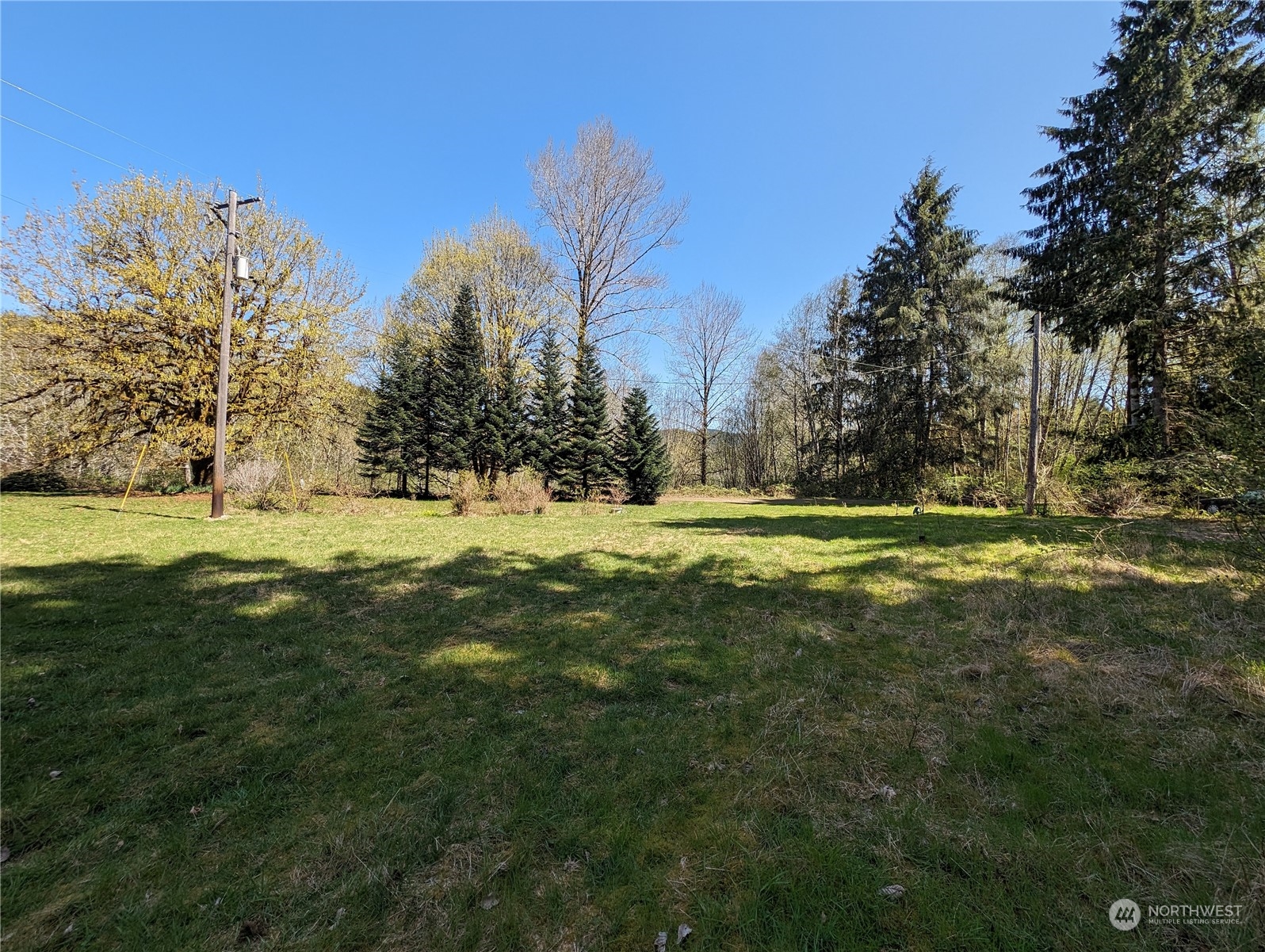 594 Kallman Road Forks, WA 98331 - Photo 19 of 39