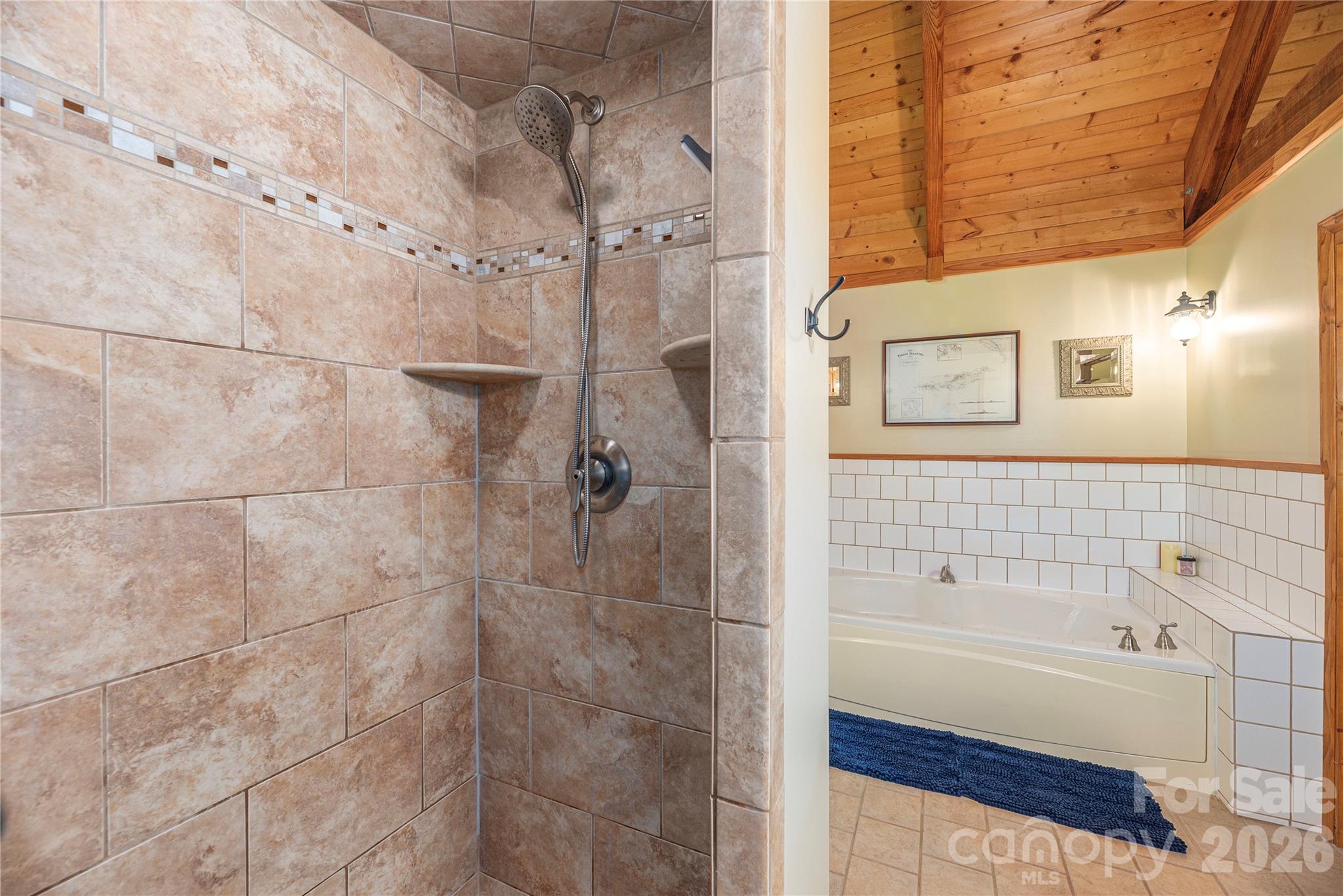 116 Ivy Road Mills River, NC 28759 - Photo 21 of 48 Gallery Image 21