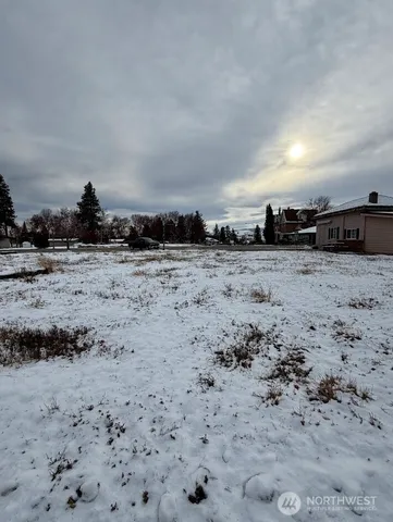 a view of a dry yard