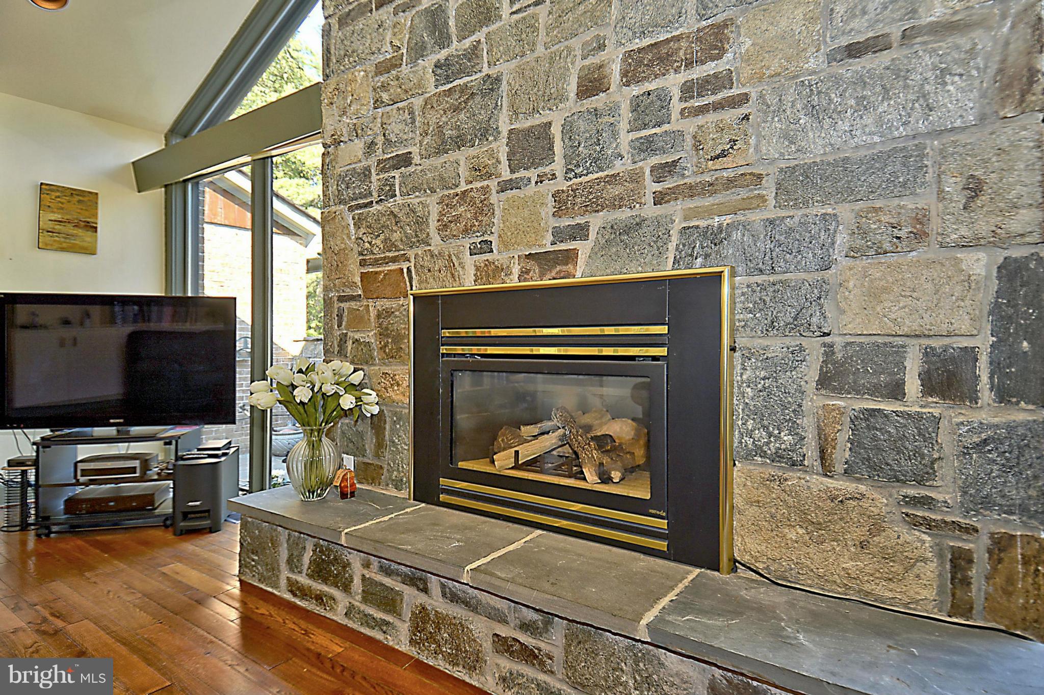 10020 Ormond Road Potomac, MD 20854 - Photo 15 of 30 Family Room has Gas Fireplace