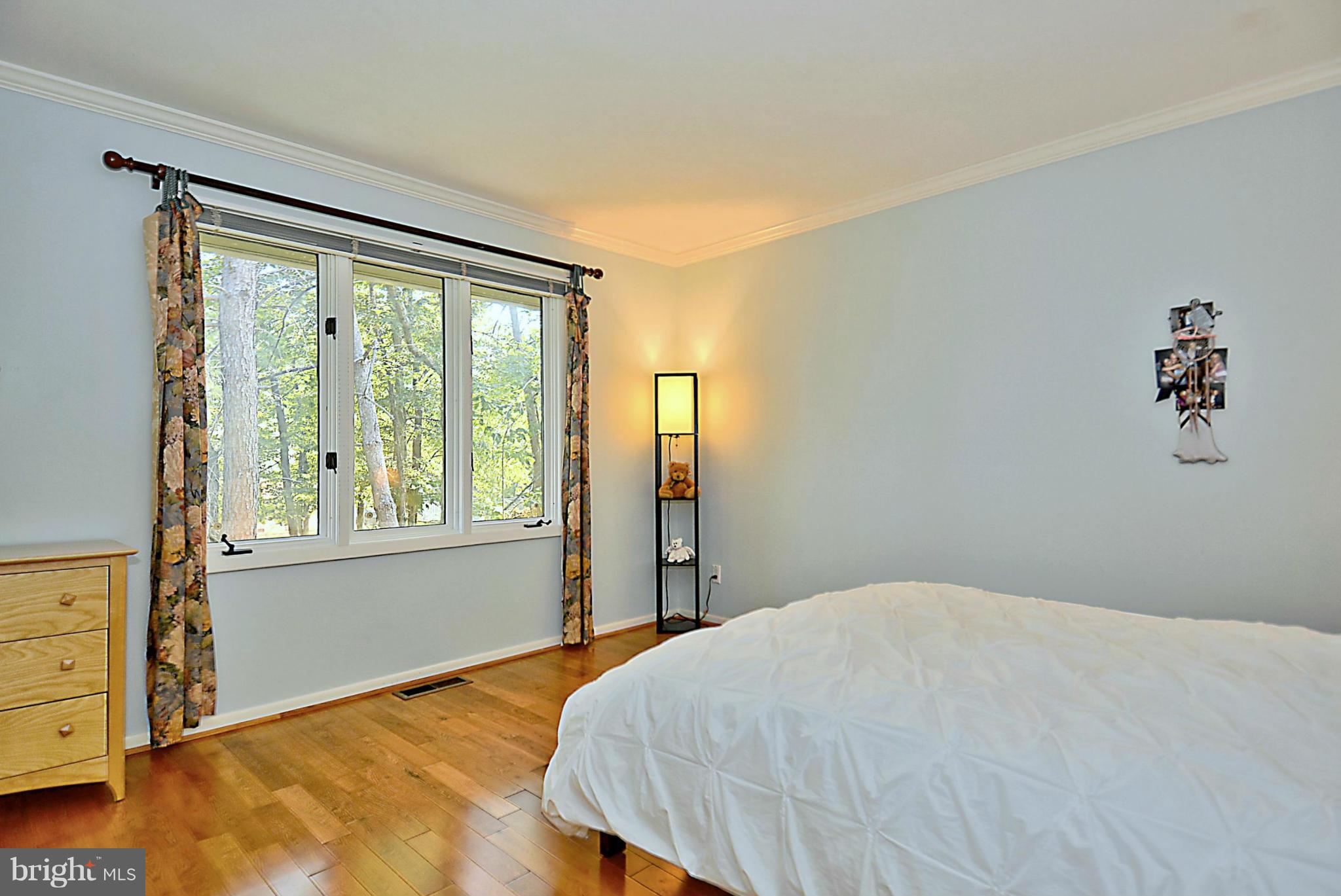 10020 Ormond Road Potomac, MD 20854 - Photo 20 of 30 Bedroom #2 on Main Level