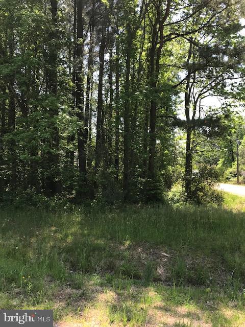 0 Baltimore Road Stevensville, MD 21666 - Photo 1 of 7 Corner view of lot