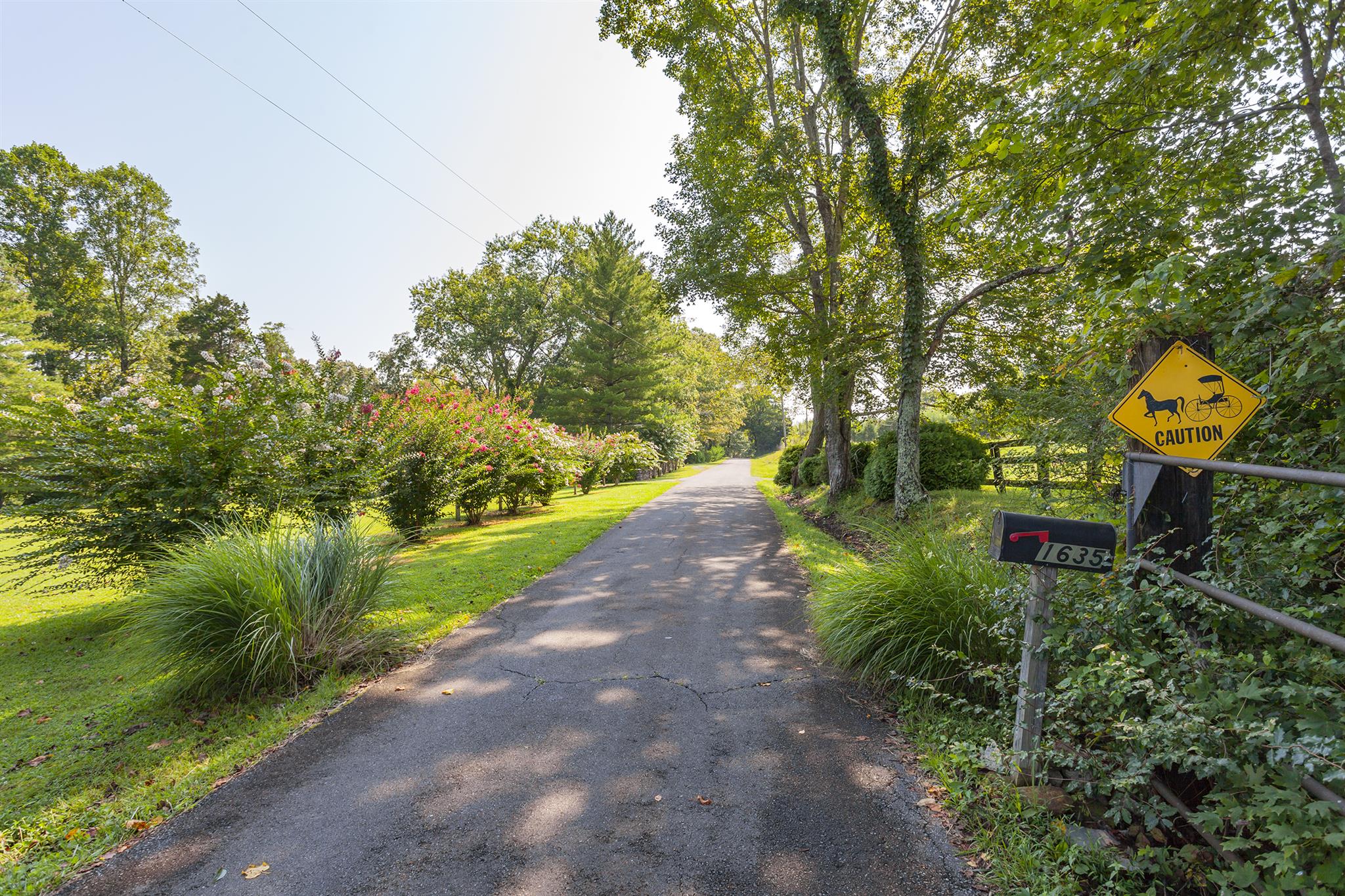 1635 Camp Ravine Road Burns, TN 37029 - Photo 27 of 28 a view of a park with large trees