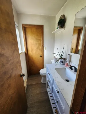 a view of a yard with trees