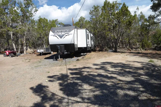 a view of a forest with lots of trees