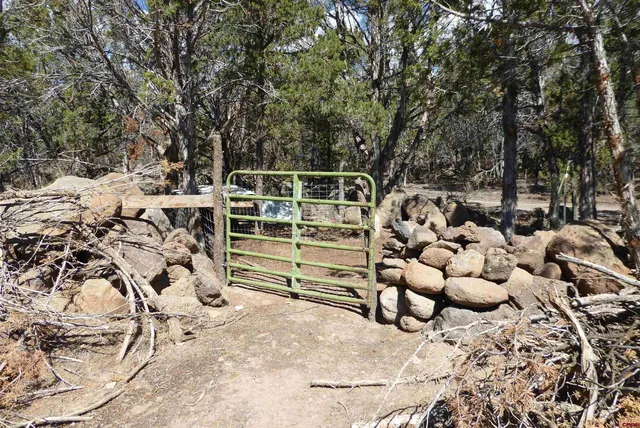 $450,000 | 18697 Ward Creek Road, Cedaredge, CO 81413