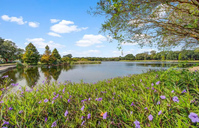 $1,339,000 | 1709 Doldridge Street, Charleston, SC 29492