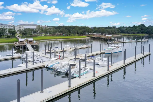 $1,339,000 | 1709 Doldridge Street, Charleston, SC 29492