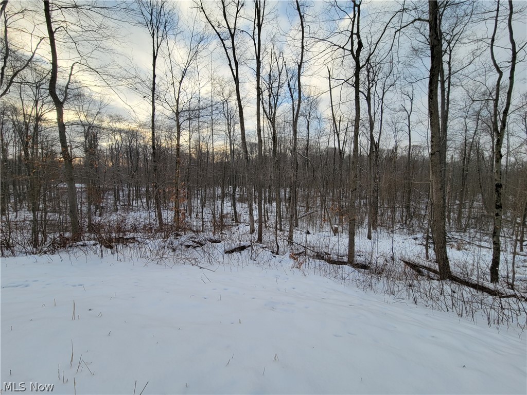 Kile Road Montville, OH 44064 - Photo 5 of 21 Gallery Image 5