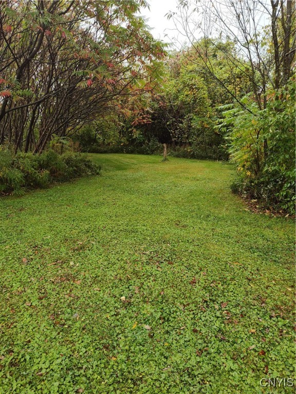 5658 Hoag Road Rome, NY 13440 - Photo 46 of 50