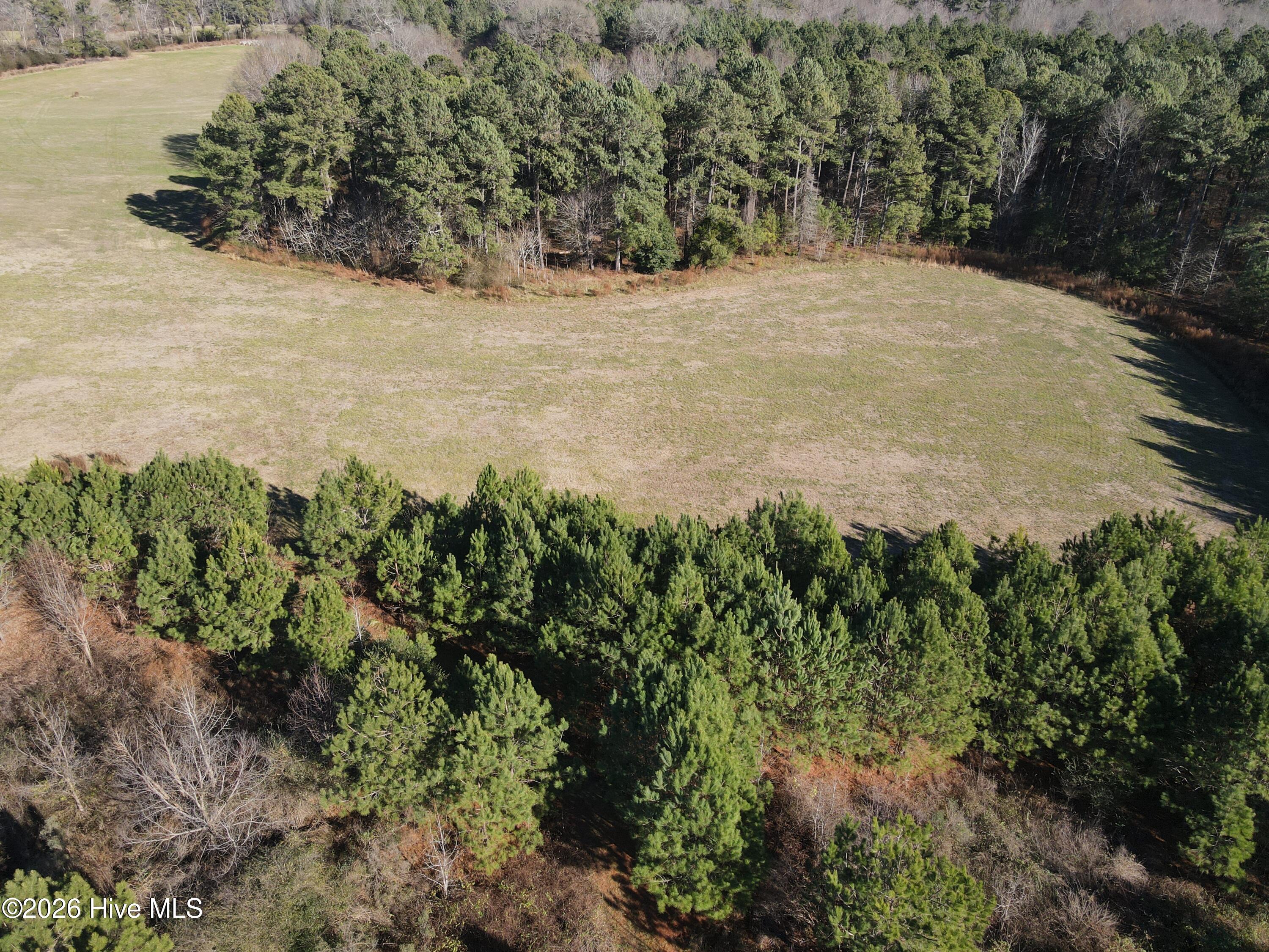 0 Sykes Road Nashville, NC 27856 - Photo 38 of 69 SR MLS 38