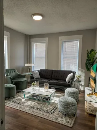 a living room with furniture or couch and a potted plant