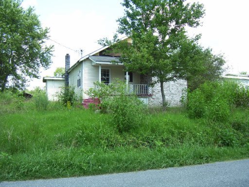 Primary Photo