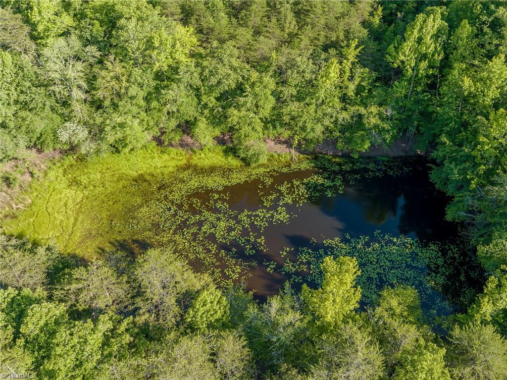 7685 Deboe Road Summerfield, NC 27358 - Photo 21 of 22 Gallery Image 21