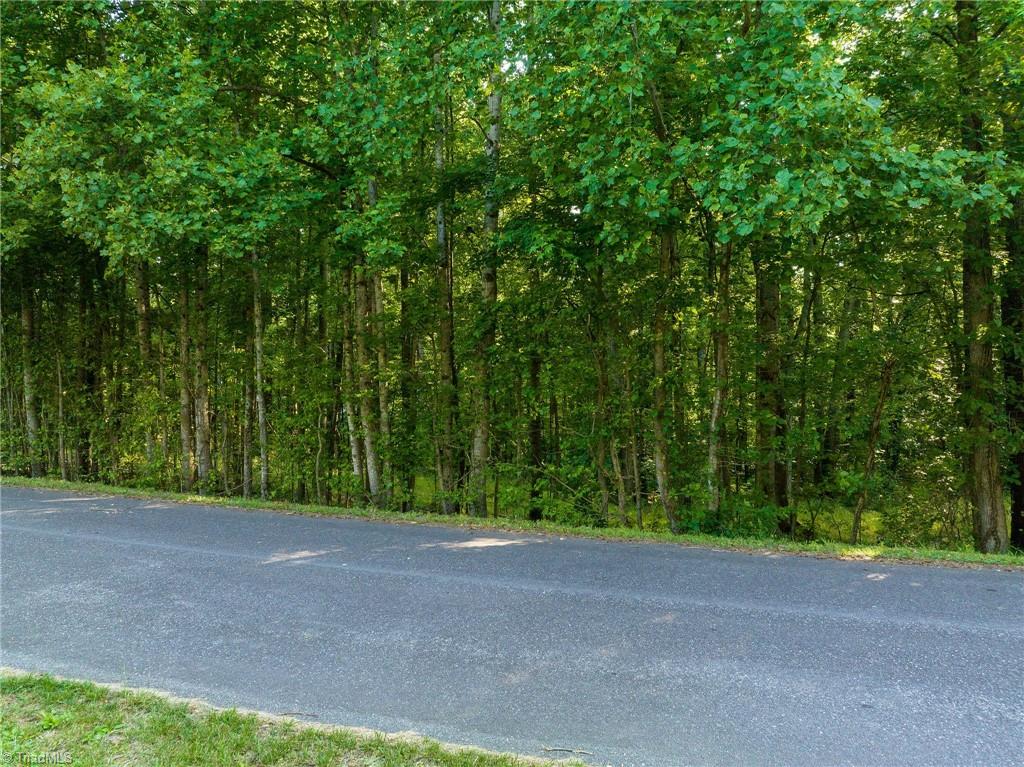 7685 Deboe Road Summerfield, NC 27358 - Photo 6 of 22 Gallery Image 6