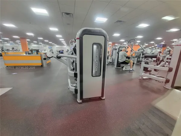 a view of a yard with a large tree