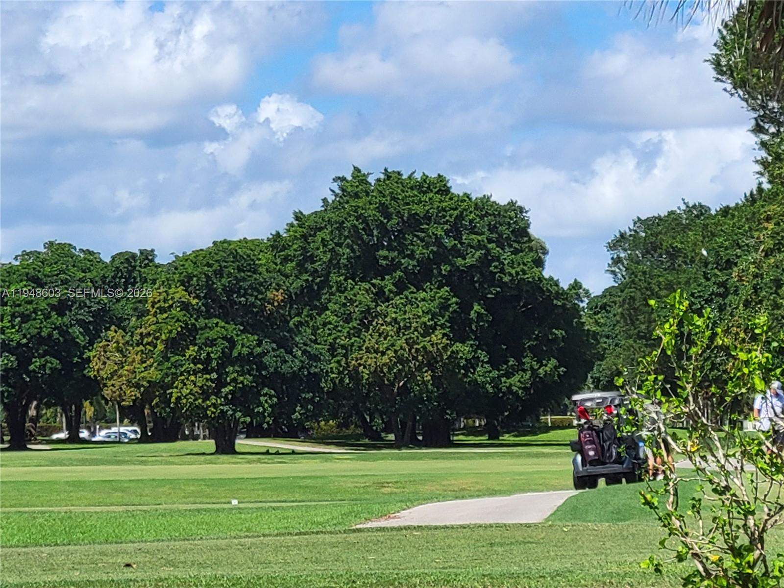 196 Mansfield F, Unit 196 Boca Raton, FL 33434 - Photo 57 of 58 a big yard with red trees