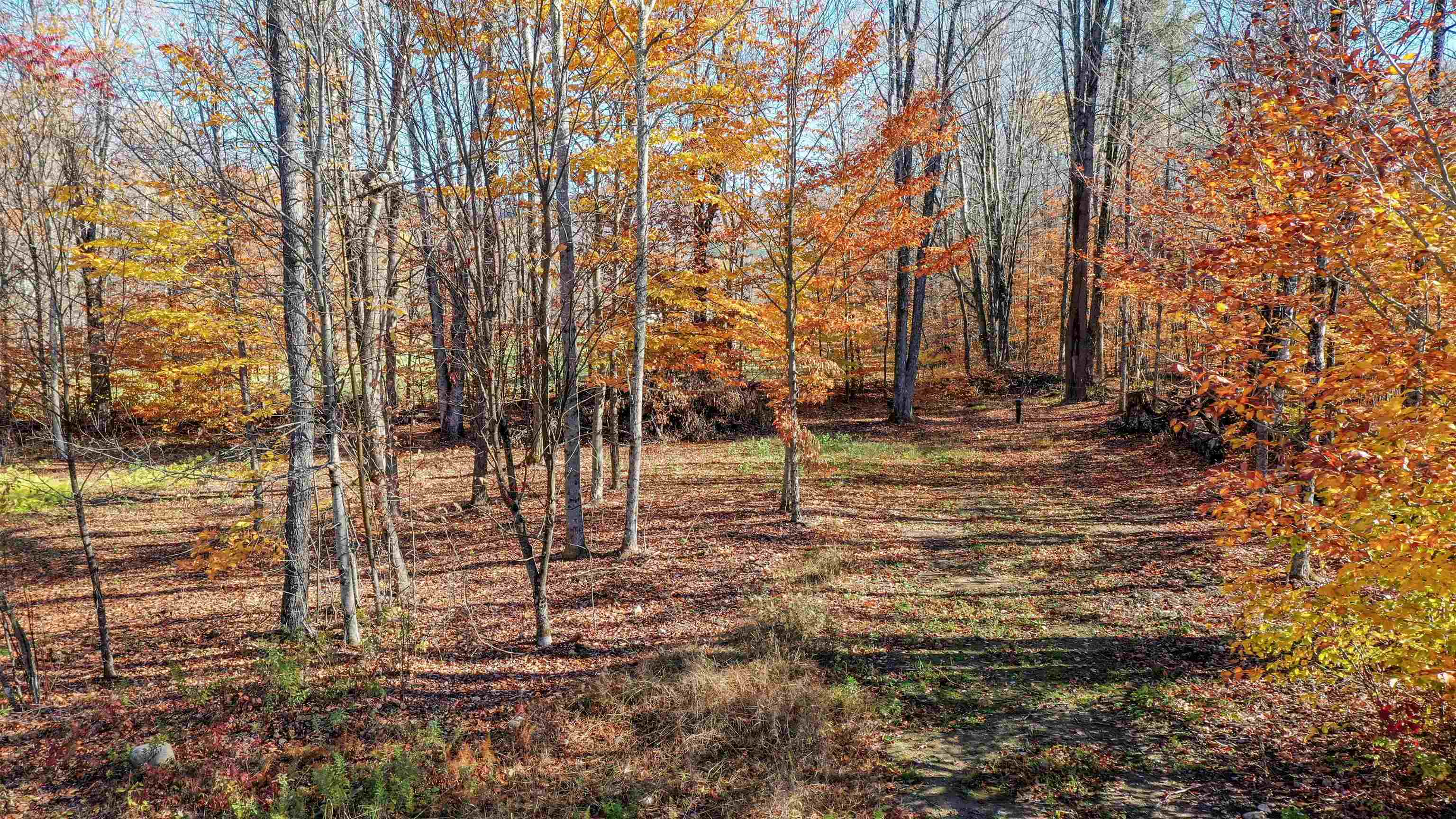 0 Pasquale Street, Unit 13 Pittsford, VT 05763 - Photo 29 of 57