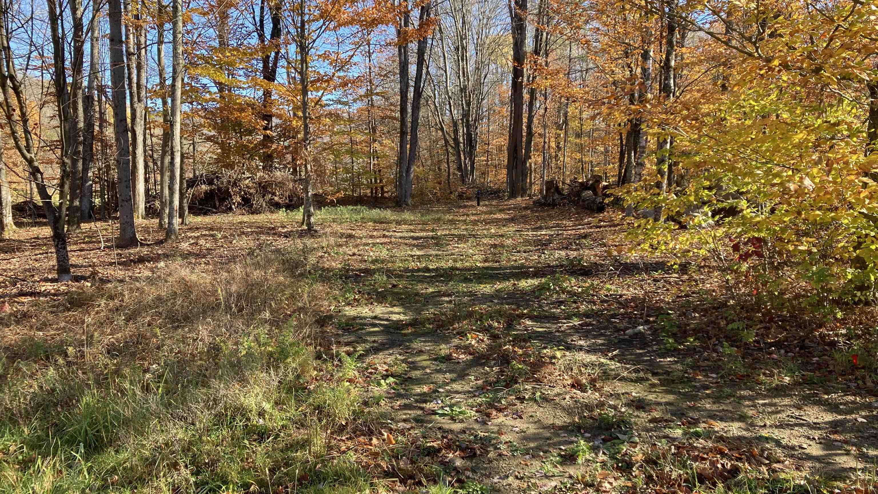 0 Pasquale Street, Unit 13 Pittsford, VT 05763 - Photo 38 of 57