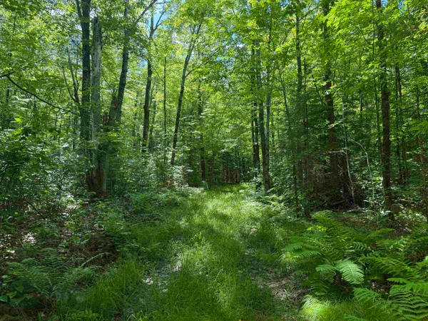 $138,000 | Wonder Road, Auburndale, WI 54412