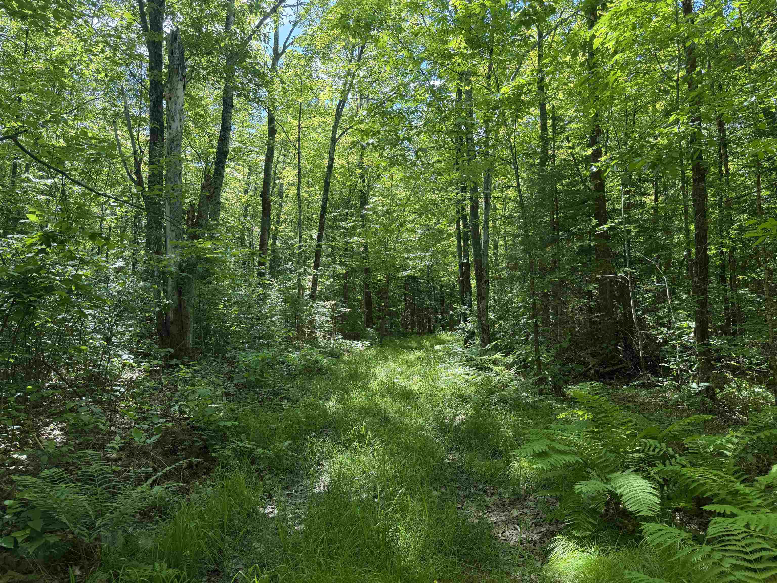 Wonder Road Auburndale, WI 54412 - Photo 1 of 1