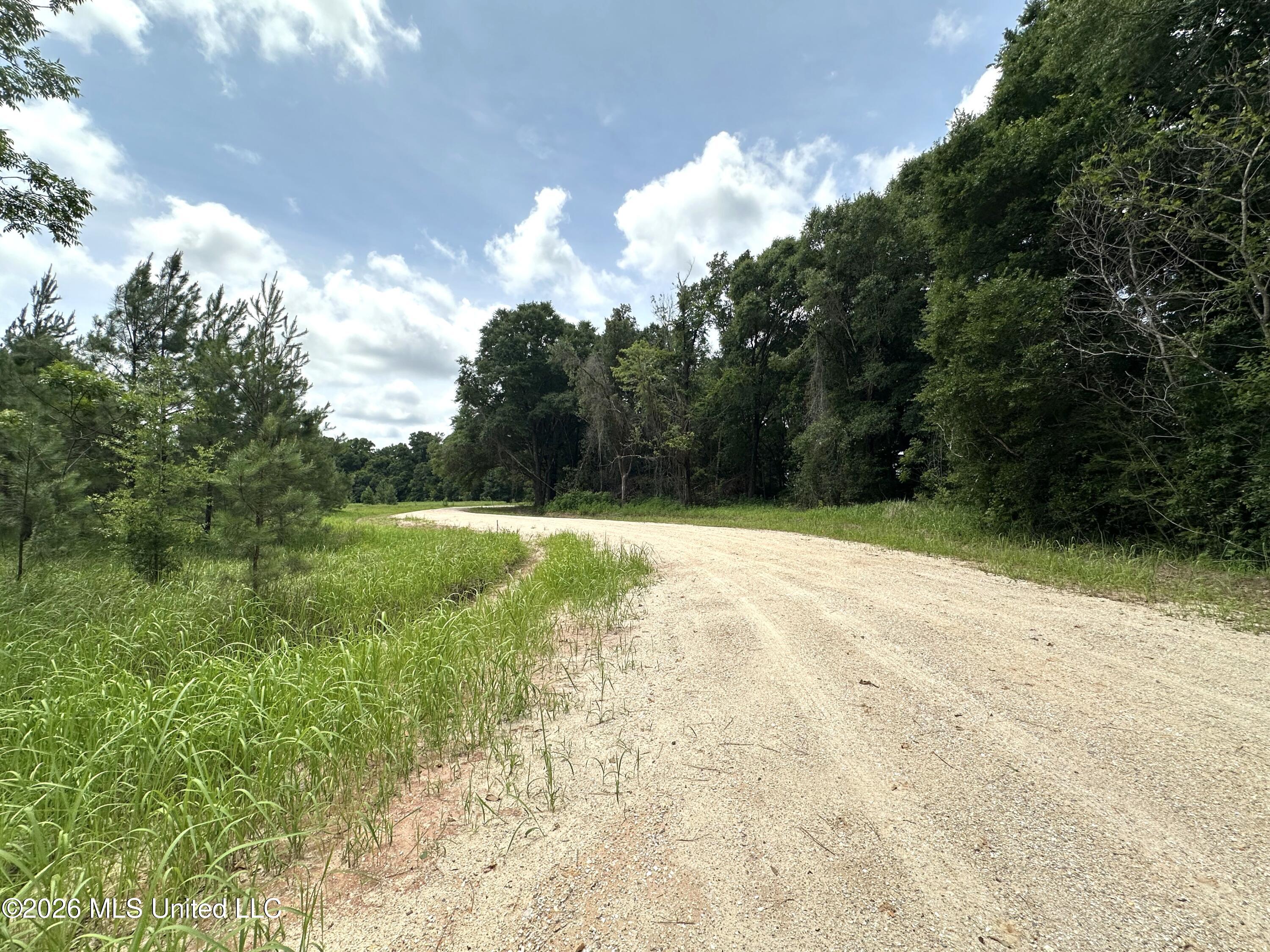 24.48-ac River Road Lucedale, MS 39452 - Photo 7 of 19 IMG_3689