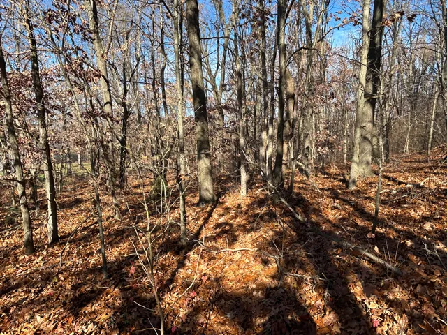 $120,000 | 10699 Mystic Hts Trail, Mattawan, MI 49071