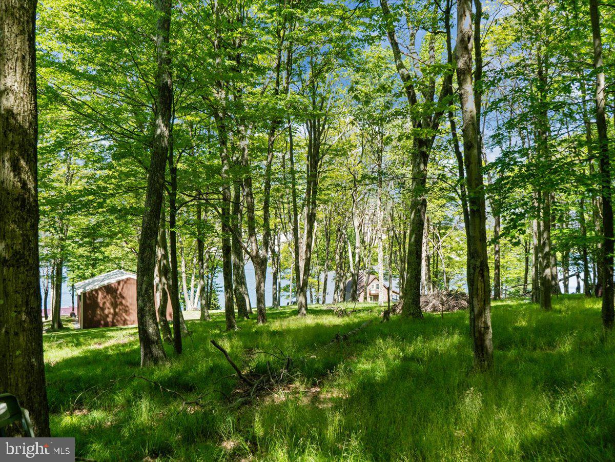 663 Bear Woods Road Mount Storm, WV 26739 - Photo 53 of 73 Serene woodland retreat awaits you.