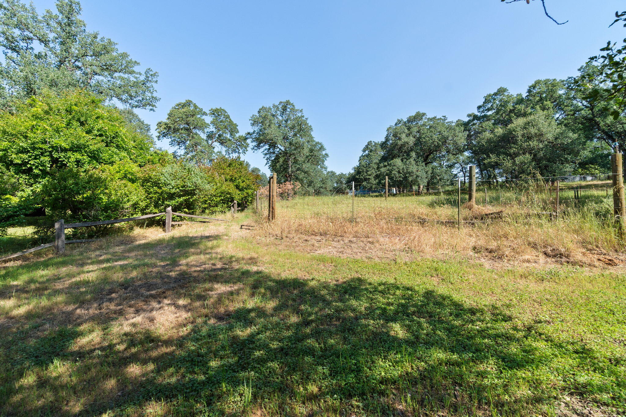 9728 Deschutes Road Palo Cedro, CA 96073 - Photo 54 of 69 Yard