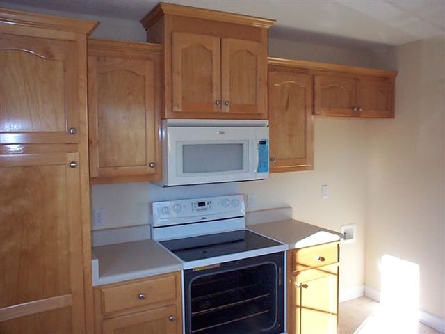 541 Burnetts Road Chesnee, SC 29323 - Photo 4 of 8