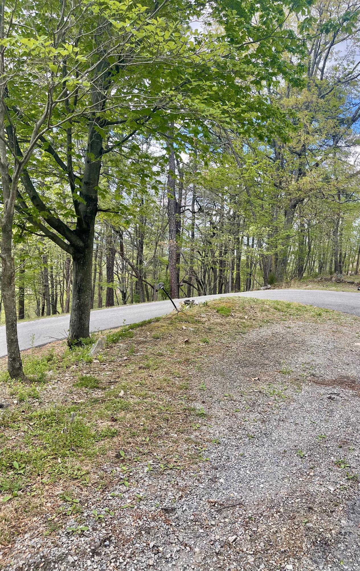 91 Hilltop Road Roanoke, VA 24014 - Photo 21 of 29 IMG_6215 2
