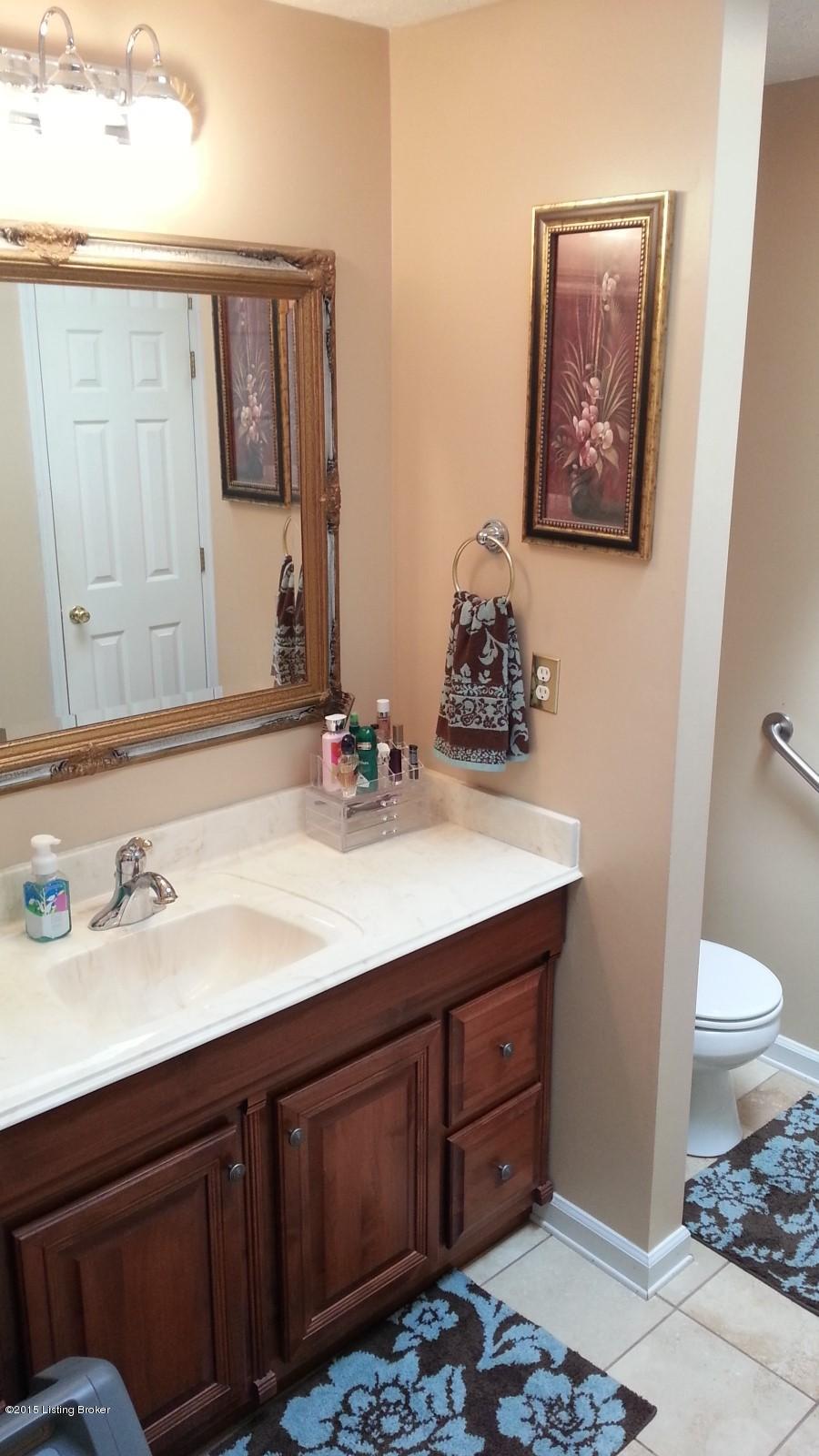 1756 Cedarmore Road Bagdad, KY 40003 - Photo 55 of 78 Master Bath with Sky Light