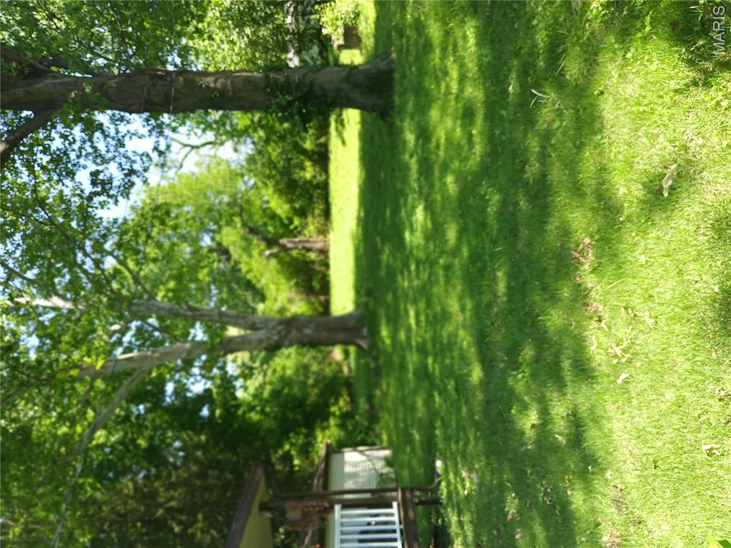 2036 Raft Drive Hanley Hills, MO 63133 - Photo 4 of 28