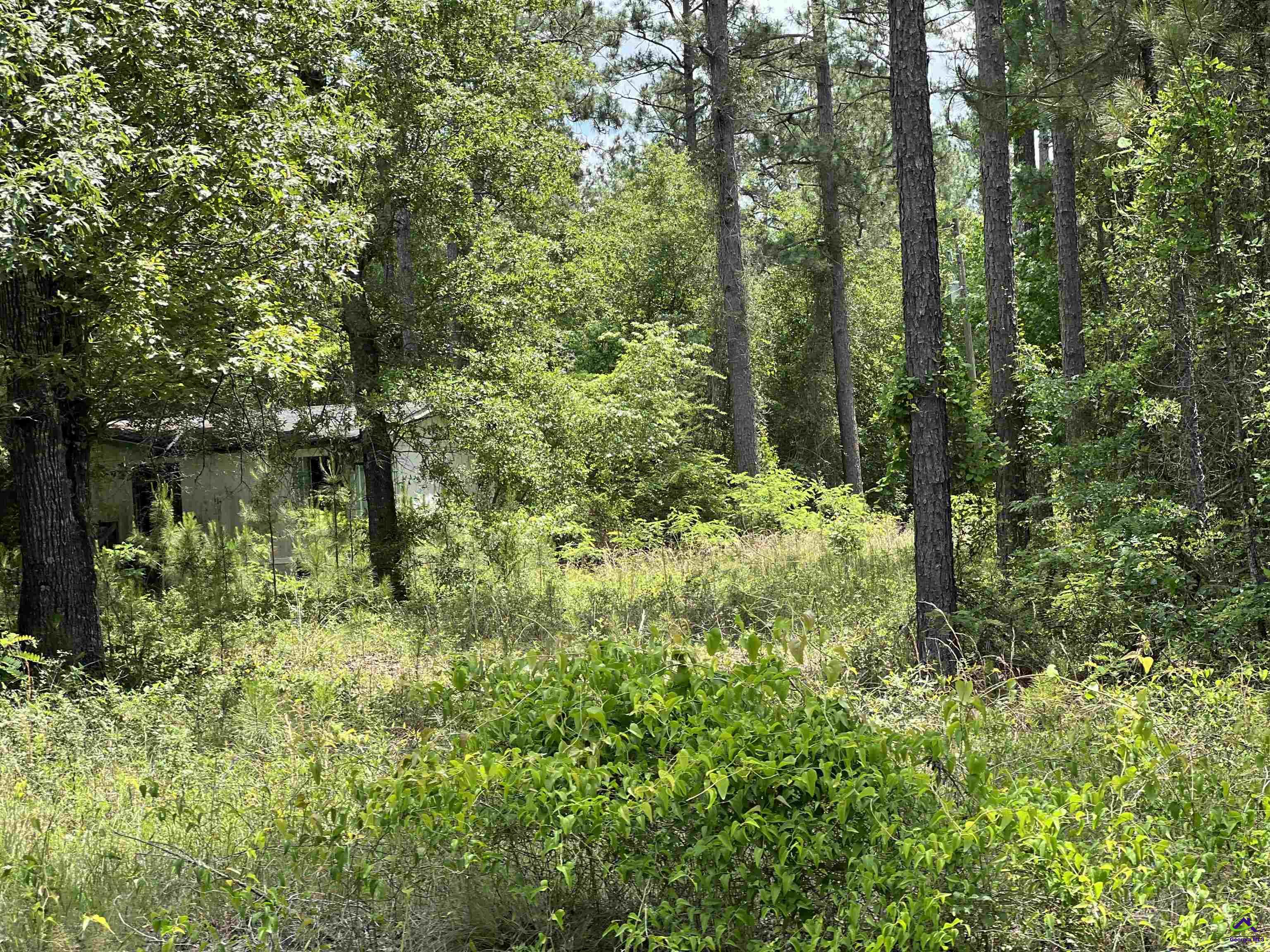 Rock Hill Road Cochran, GA 31014 - Photo 8 of 26 a view of a garden
