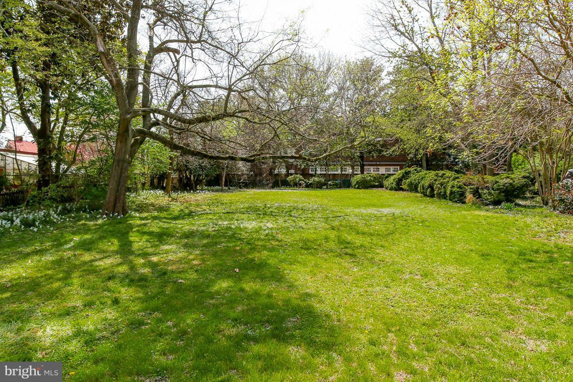 203 Prince George Street Annapolis, MD 21401 - Photo 22 of 30 Backyard