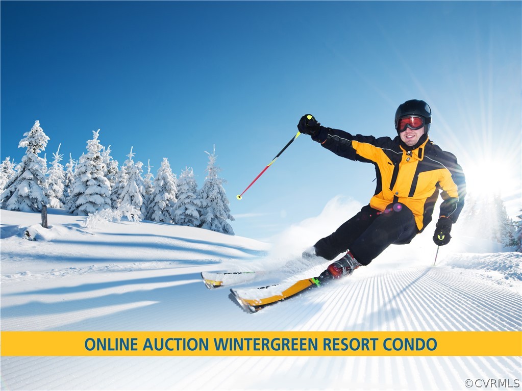 232 Timbers Roseland, VA 22967 - Photo 2 of 31