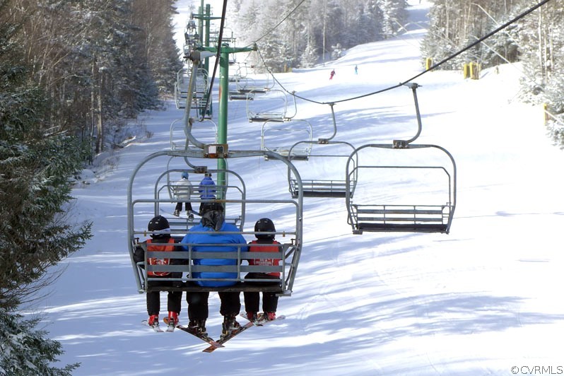 232 Timbers Roseland, VA 22967 - Photo 5 of 31