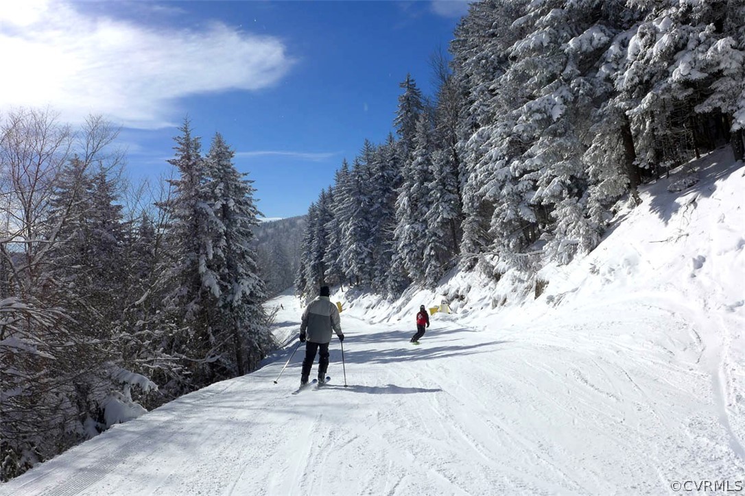 232 Timbers Roseland, VA 22967 - Photo 6 of 31