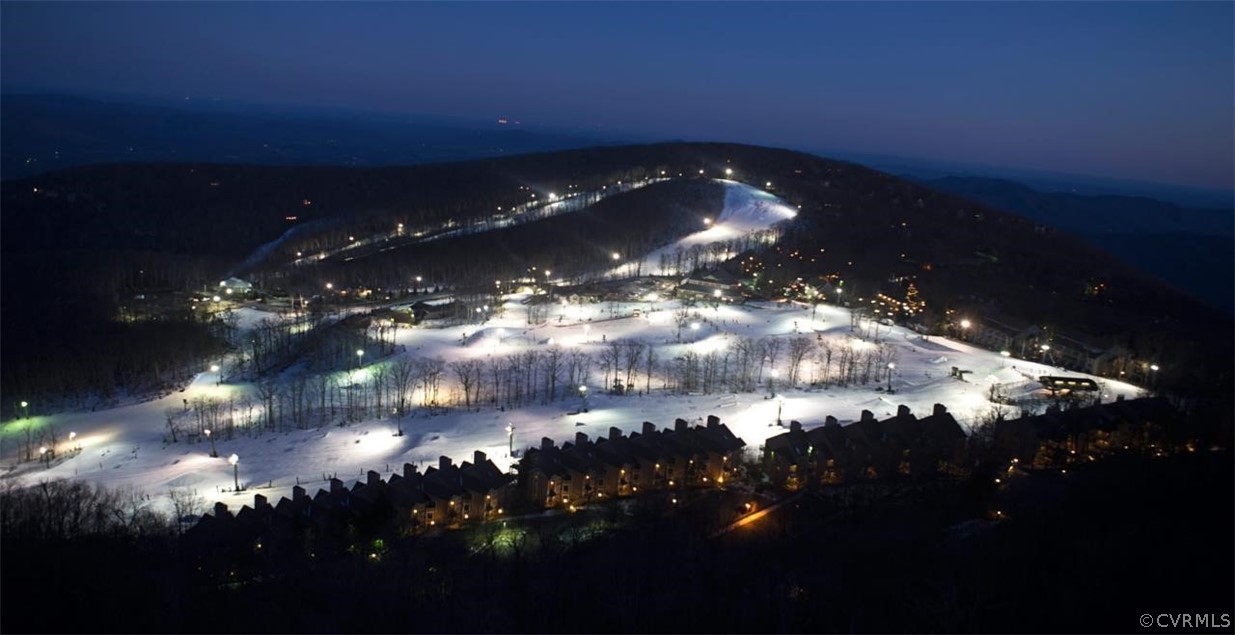 232 Timbers Roseland, VA 22967 - Photo 7 of 31