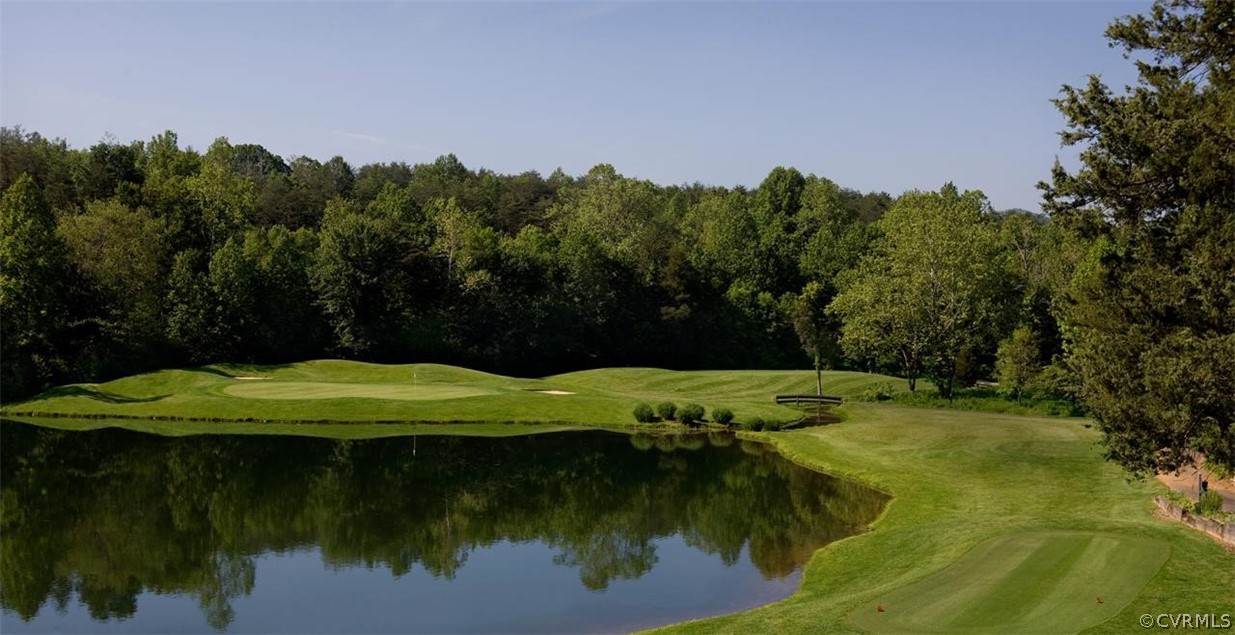 232 Timbers Roseland, VA 22967 - Photo 8 of 31