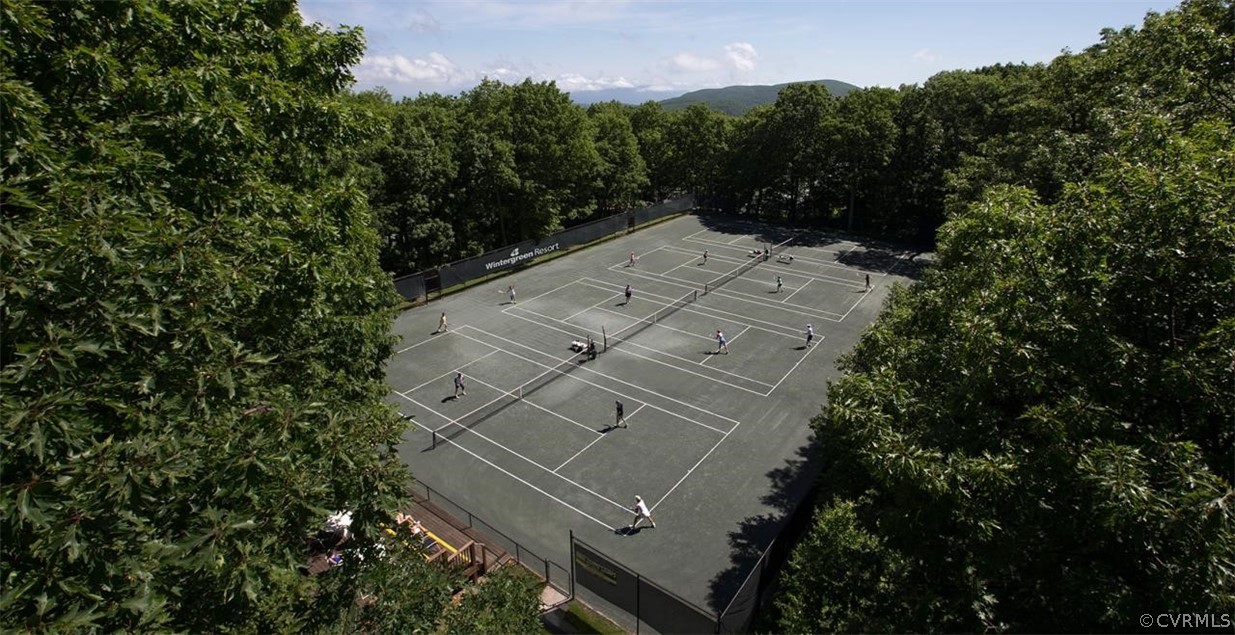 232 Timbers Roseland, VA 22967 - Photo 10 of 31